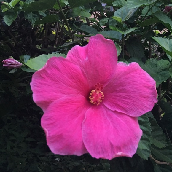 Meet your Posher, Rc - Picture 1 of 1